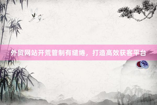 外贸网站开荒管制有缱绻，打造高效获客平台