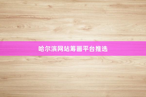 哈尔滨网站筹画平台推选