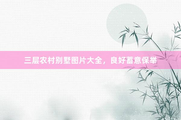 三层农村别墅图片大全，良好蓄意保举