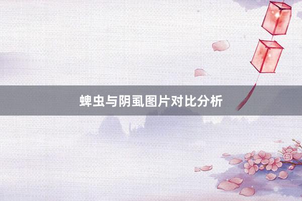 蜱虫与阴虱图片对比分析