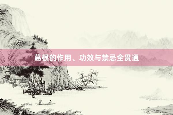 葛根的作用、功效与禁忌全贯通