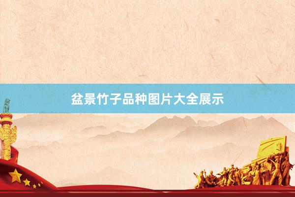 盆景竹子品种图片大全展示