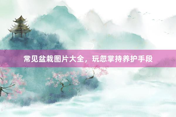 常见盆栽图片大全，玩忽掌持养护手段