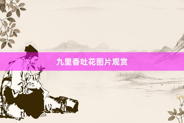 九里香吐花图片观赏